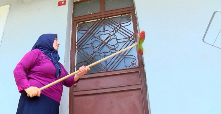 İstanbul’da Tırtıl İstilası Yaşanıyor, Tırtıllar Meyve Ağaçlarını Kuruttu