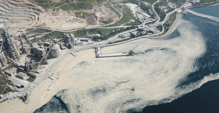 İzmit Körfezi Deniz Salyası ile Kaplandı
