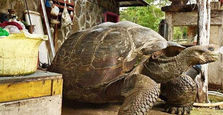 Birkaç Dakikada Dünya Bilginizi Genişletebilecek 10 Şey
