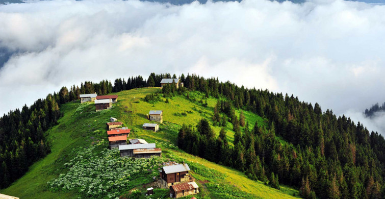 Karadeniz’deki En güzel Yaylalar