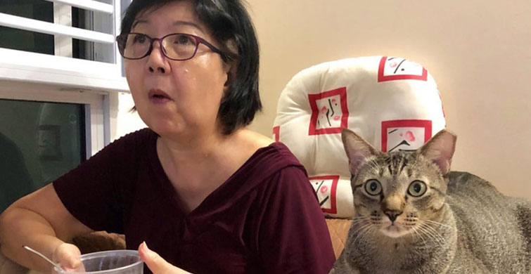 Evcil Hayvanlarımızla Ne Kadar Yakın olduğumuzu Gösteren 9 Fotoğraf