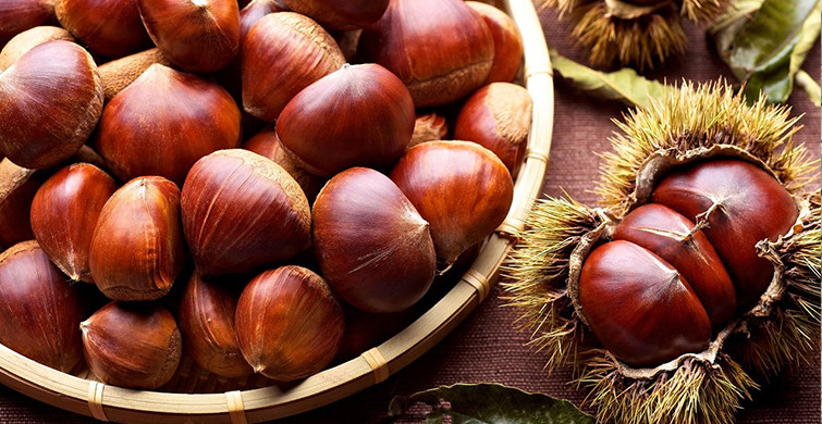 Kestane Diyabeti Önlüyor! İşte Yararları