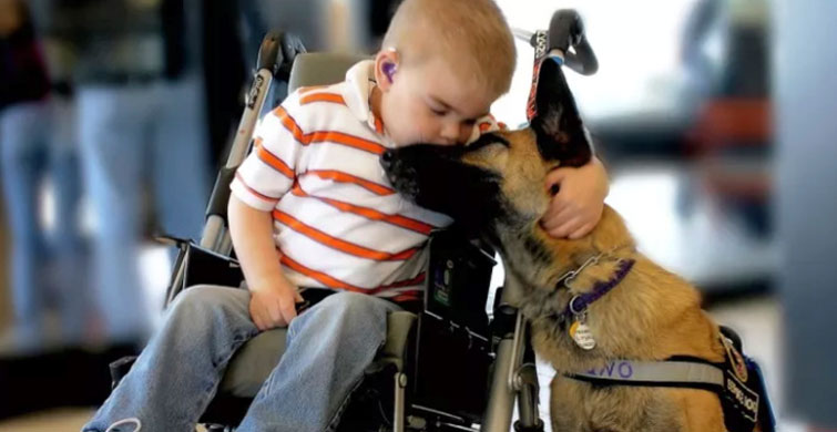 Dünyayı Nasıl İyi Bir Yer Yapabileceğini Bilen 7 Köpek