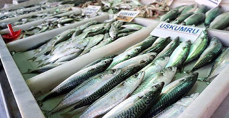 D Vitamini Eksikliğiniz Varsa Bunları Yapın