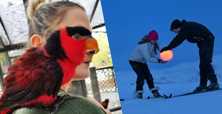 Tam Olarak Doğru Zamanda Tıklayan 25 Fotoğrafçı