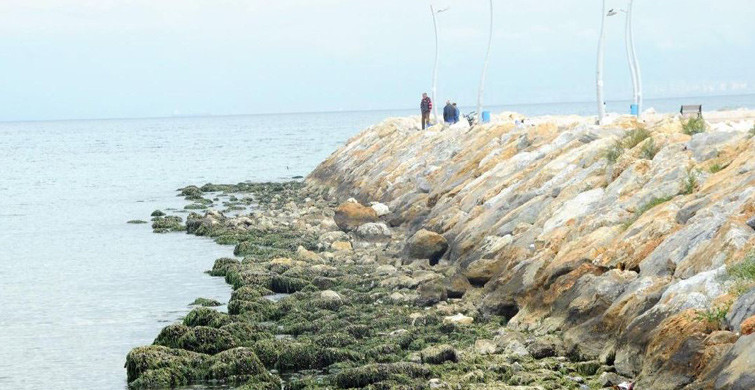 Marmara Denizi'ndeki Çekilmeler Deprem Belirtisi mi?