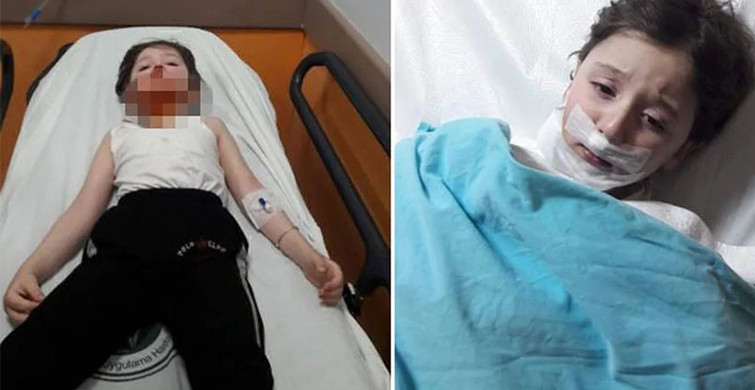 Minik Bedirhan Dehşeti Yaşadı!