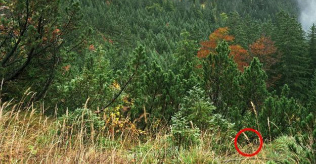 Bu Fotoğraflardaki Detayları Görmek Neredeyse İmkansız