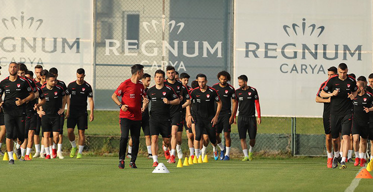 Şenol Güneş'in Muhtemel 11'i