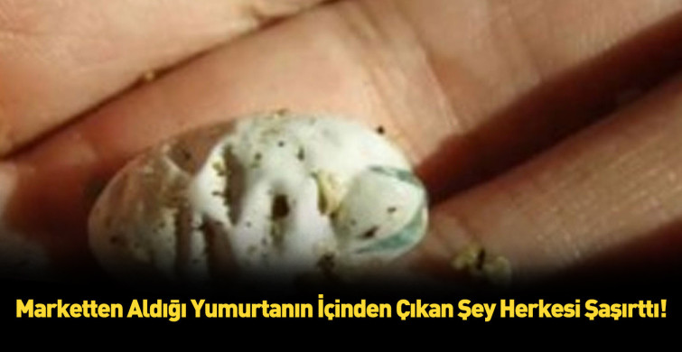 Önce avucuna aldı, ardından yaşananları anbean kaydetti! Görenler gözlerine inanamadı
