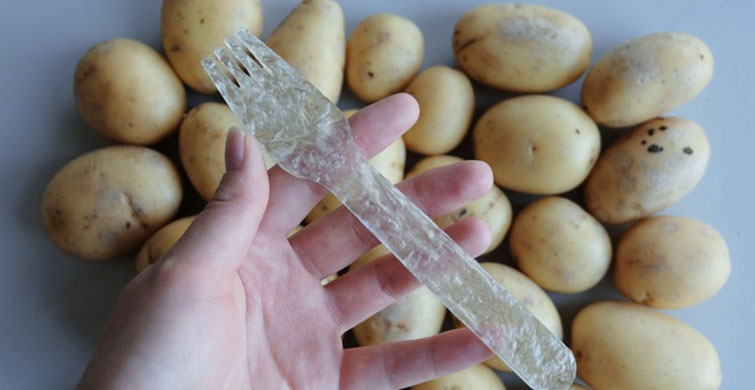  Gezegenimizi Plastikten Kurtarmak İçin Yapılan Basit Ama Etkili Şeyler