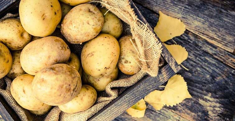 Patates Kabuğu Lif Kaynağı, Sakın Çöpe Atmayın!