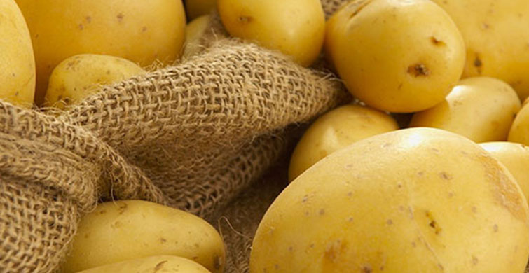 Aman Dikkat! Bu Patates Ölüme Neden Oluyor! 
