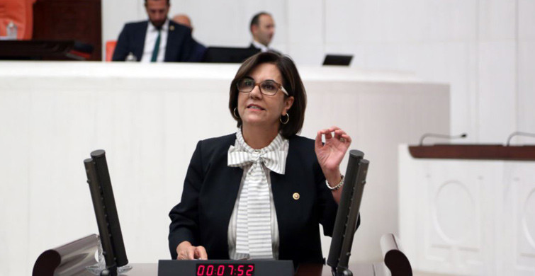 Prof. Dr. Gaye Usluer Kimdir?