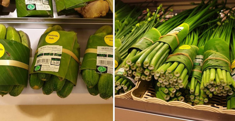 Plastik Kirlilikten Kurtarabilecek 9 Mükemmel Fikir