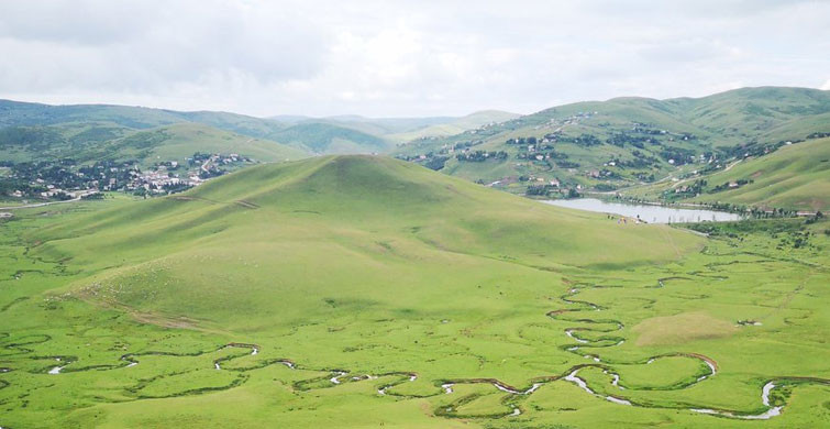 Şehir Merkezini Kargalar Bastı!