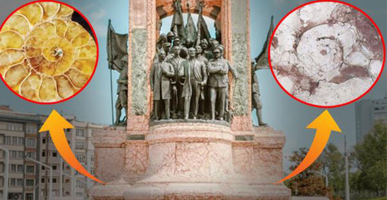 Taksim Anıtında Bulunan Fosiller Tam 145 Milyon Yıllık!