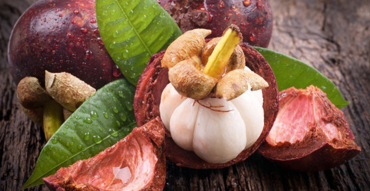 Tanrıların Meyvesi Mangostan Nedir?