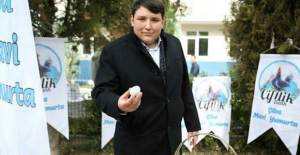Tosuncuk Belgeseli 