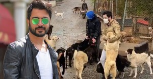 Yusuf Güney Sokak Hayvanlarını Unutmadı