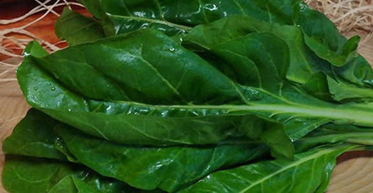 Kanserin İlacı: Pazı ve Yararları