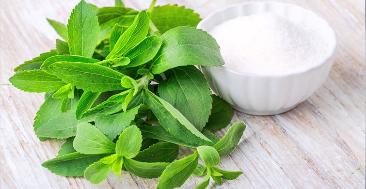 Şeker Yerine Stevia Otu Kullanın! Diyet Yapmak Zorunda Kalmayın
