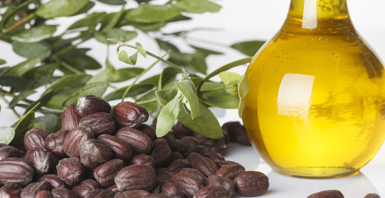 jojoba Yağının Cilde Faydaları