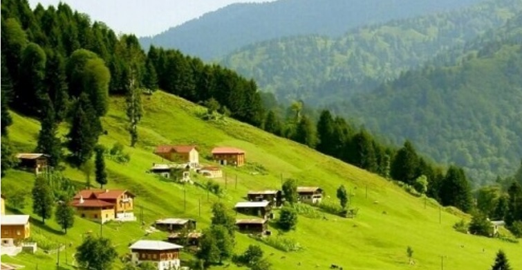 Karadeniz'in Birbirinden Güzel 5 Yaylası