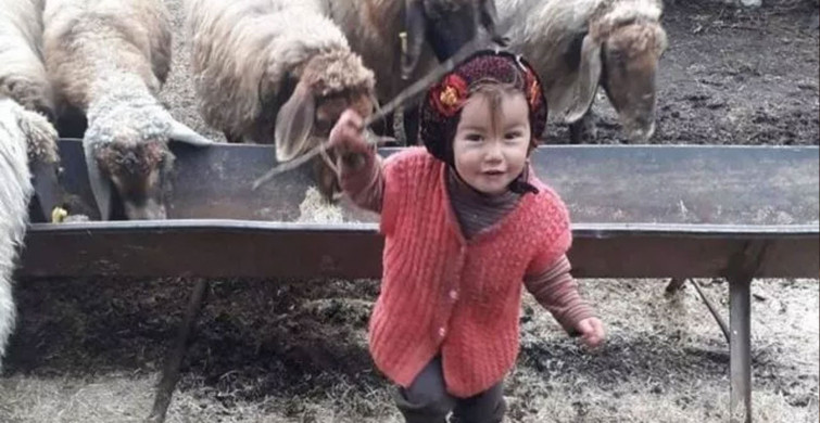 Yörük Kızı Müslüme Cinayetinde Kan Donduran İtiraf Anneanneden Geldi