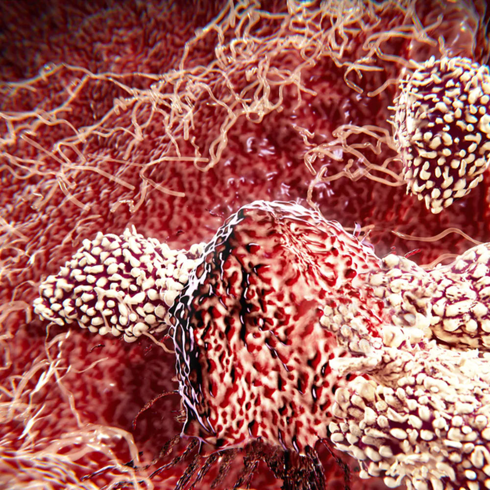 VATANDAŞLARDAN DESTEK 