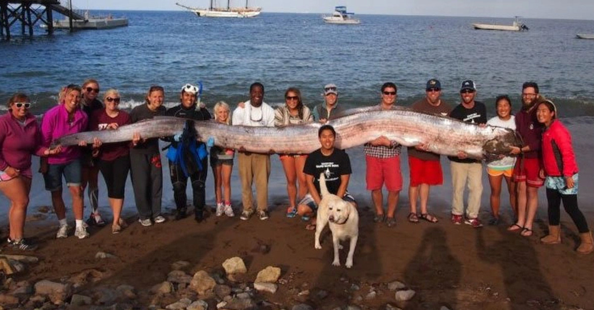 Görüntüleri paylaştılar