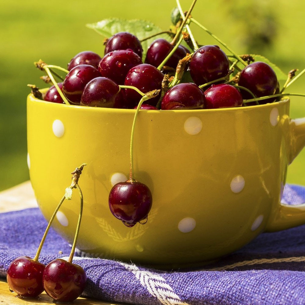 Vişne Sapı Çayı Nasıl Yapılır?