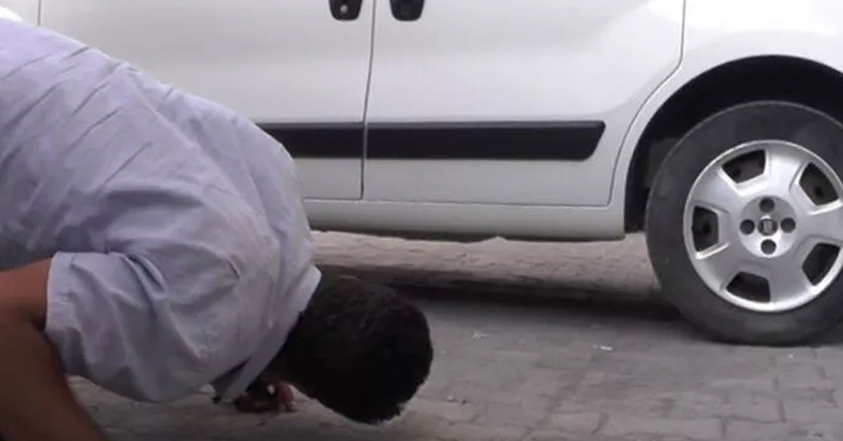 Dünyanın en zehirli yılanı