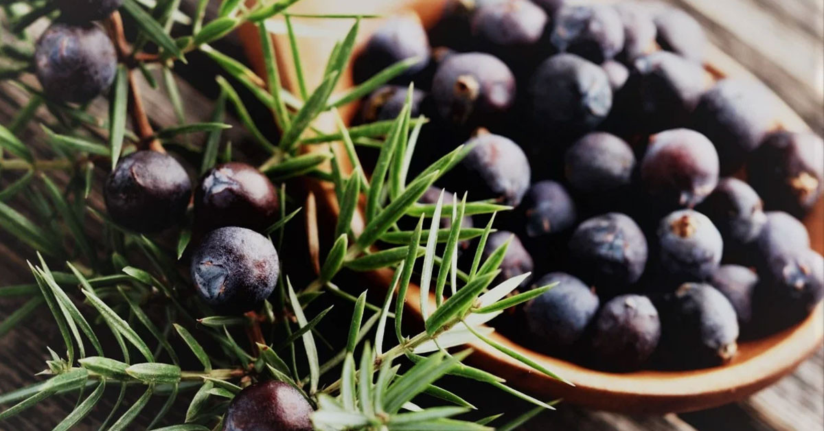 Krampları önlüyor