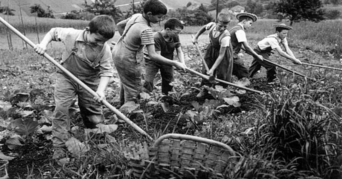 Satışa çıkarılıyor