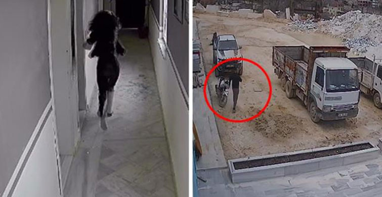 Saçından Çekerek Sürüklemiş