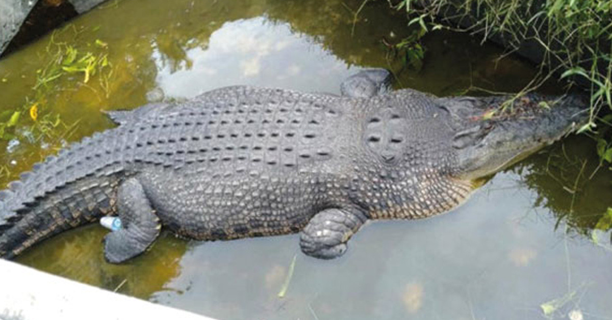 Sosyal medyada gündem oldu