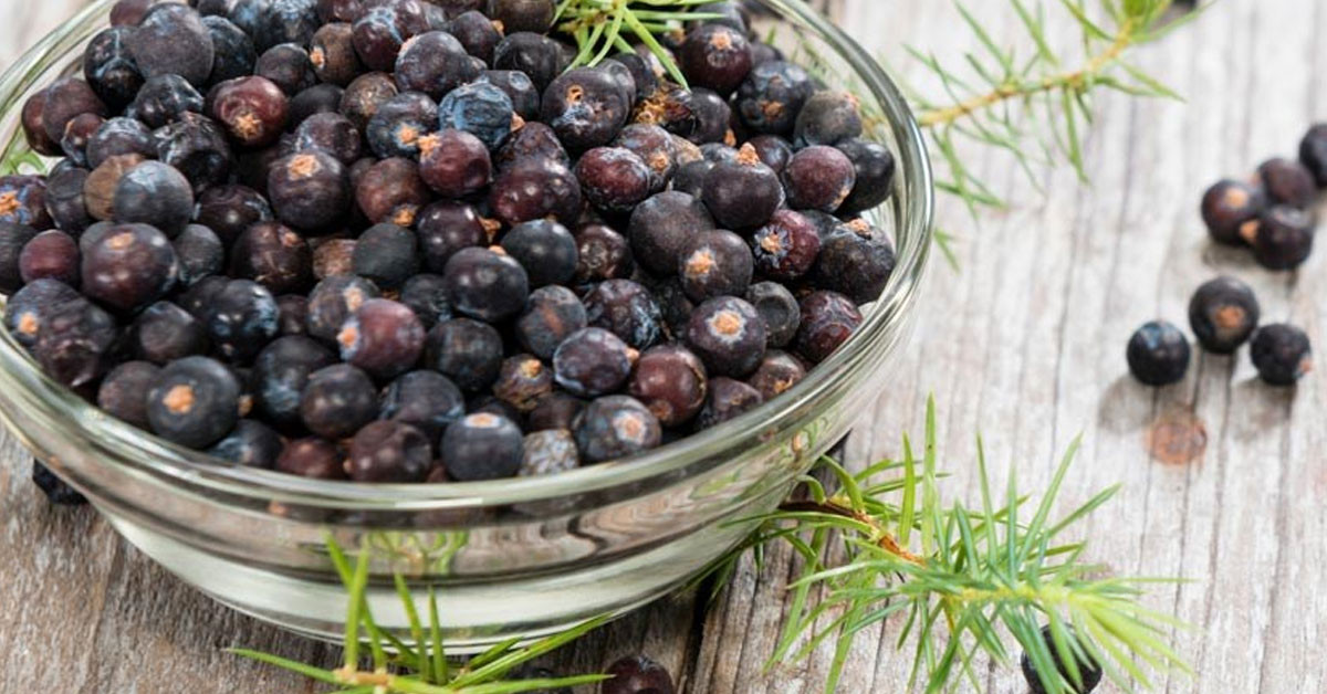 Bronşite karşı doğal ilaç!