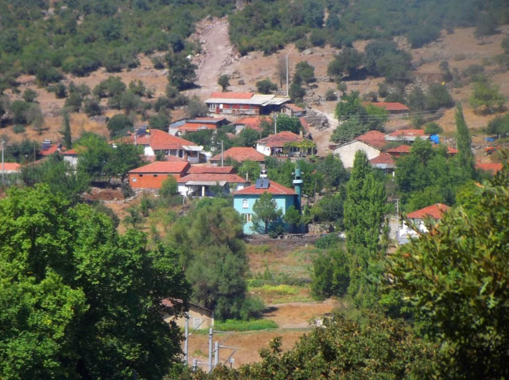 KIZILCIK HOŞAFI İÇİYORUZ