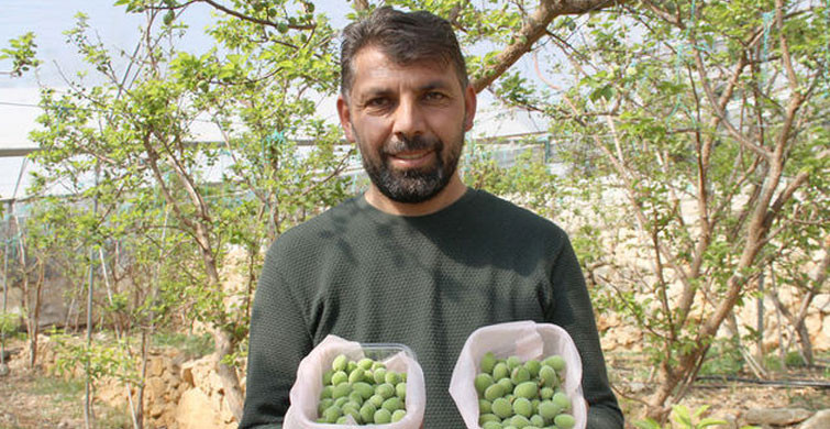 ÜRÜN ÇEŞİTLİLİĞİ ARTIYOR