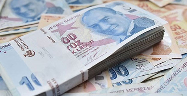 NAKDİ ÜCRET DESTEĞİ ÖDEMELERİ NE ZAMAN HESAPLARA YATIRILACAK?