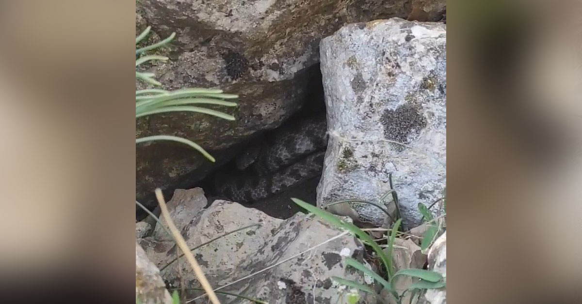 Sessizce uzaklaştılar