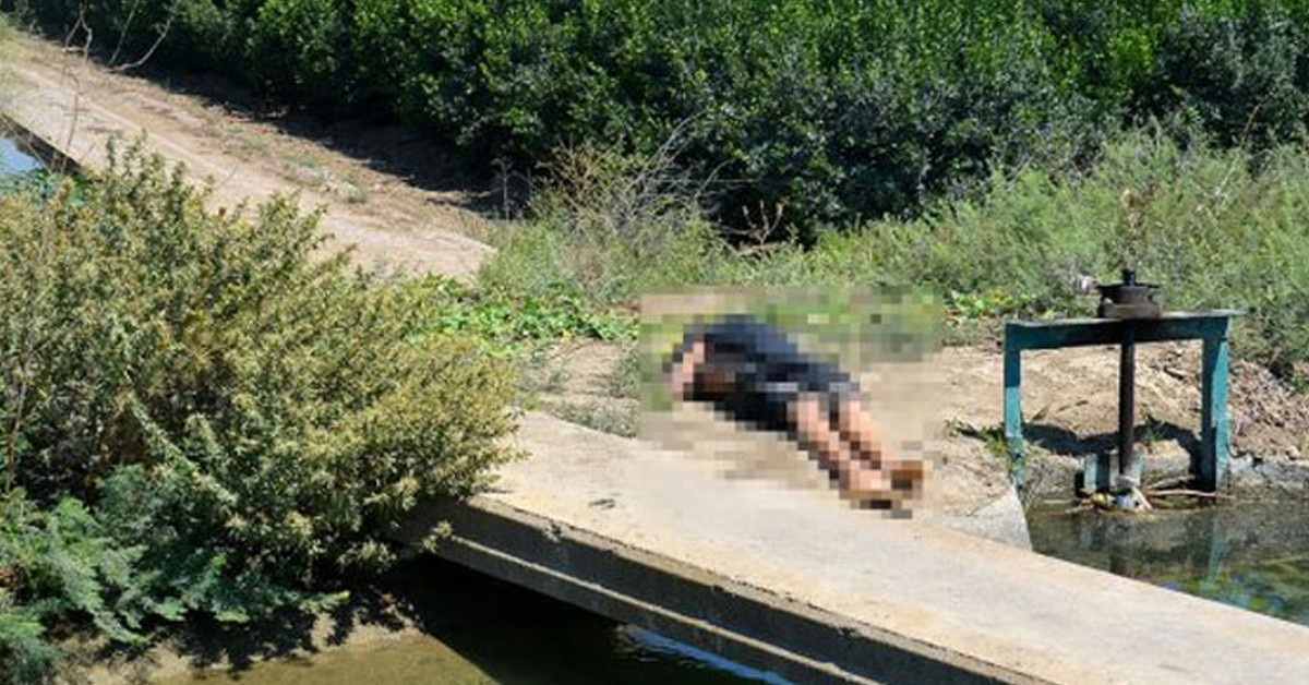 Cesedi çıkardılar