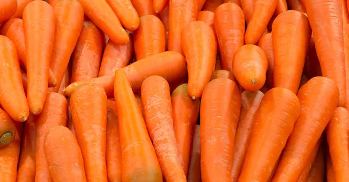 Ağız sağlığını iyileştirir 