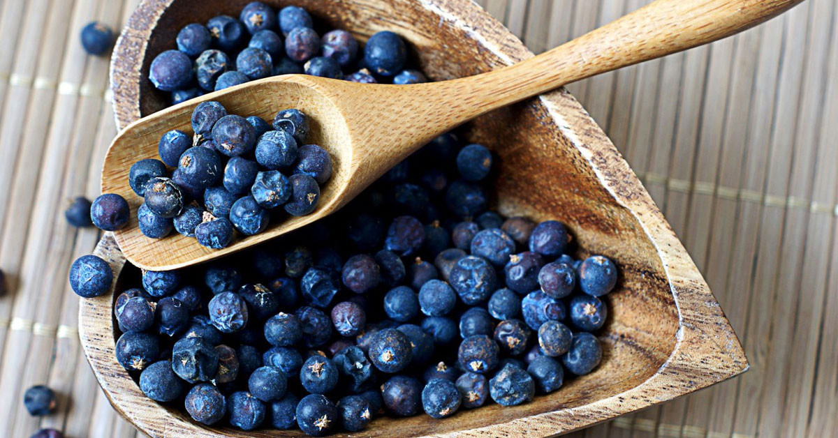 Vücuttaki pis kanı temizliyor