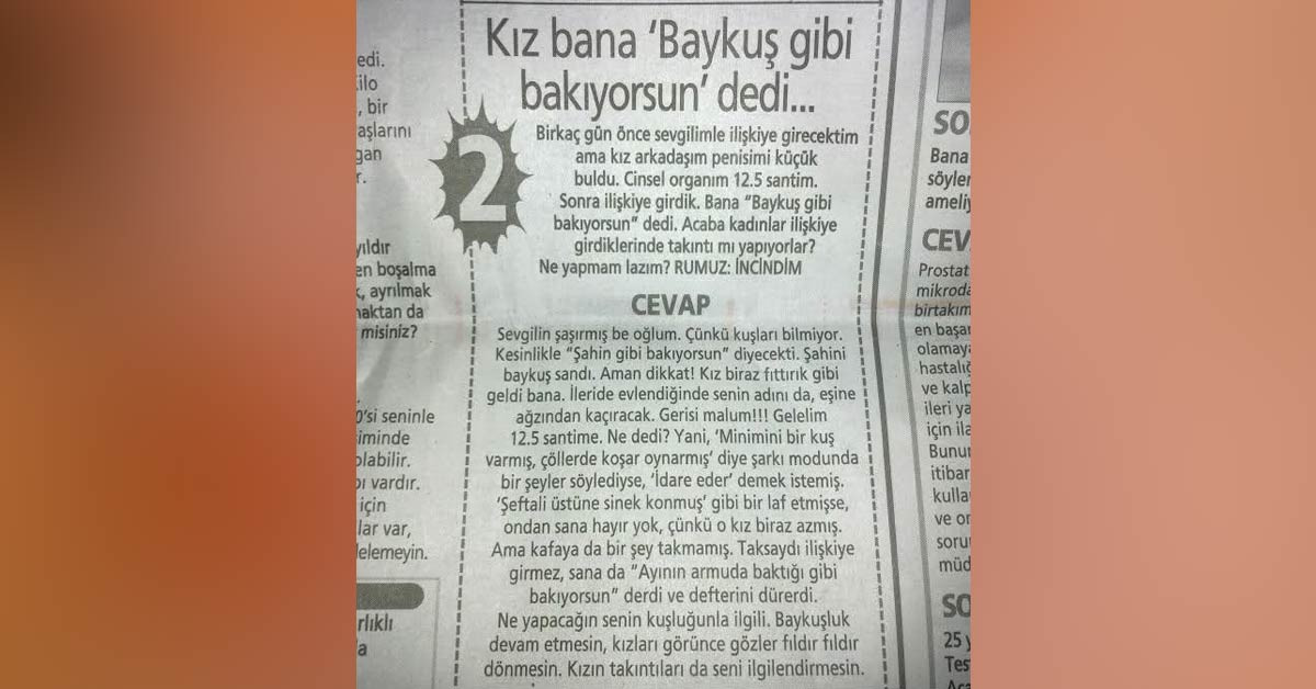 Baykuş gibi
