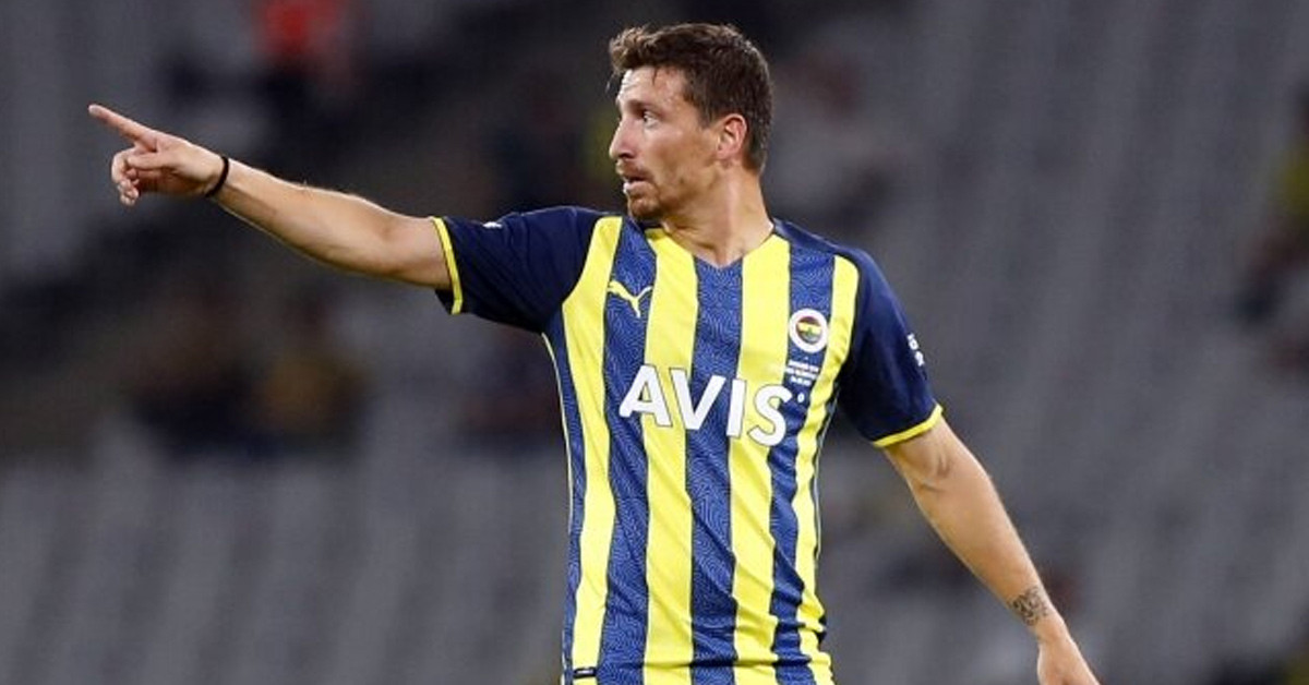 Başarıları nedir?