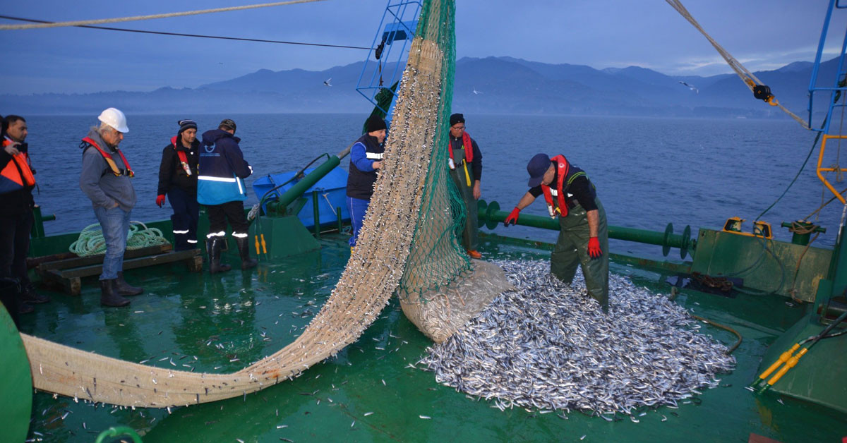 20 BİN DOLARLIK İHRACAT GERÇEKLEŞTİRİLDİ