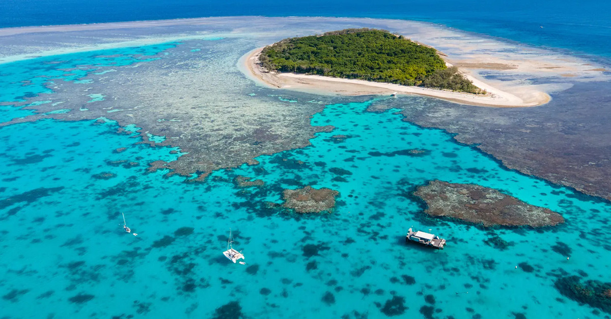 Güney Büyük Bariyer Resifi, Avustralya