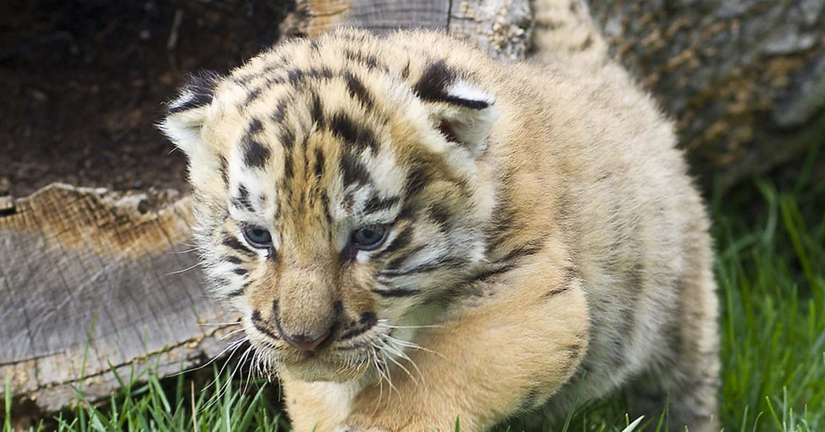 Uyandığında gördükleriyle şaşkına döndü